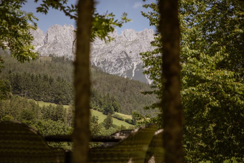 Studio Esche 3 - foto 49