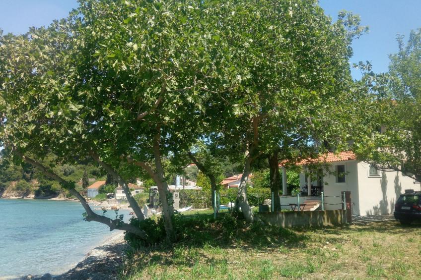 Simos in Paleokastro - foto 42