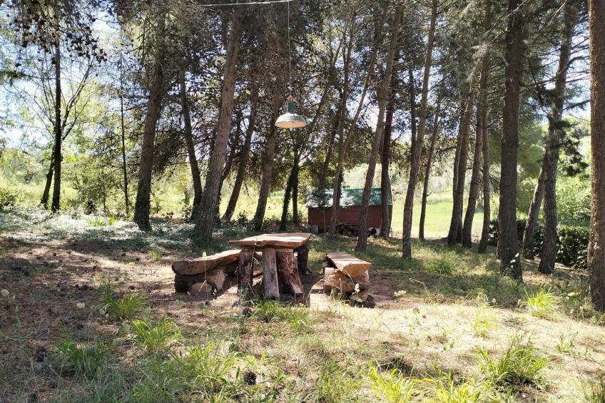 Casolare il Vecchio Forte_10 min. vom Meer entfernt_Cod AA3 - foto 59