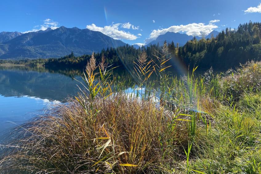 Haus Rosenwirth - foto 28