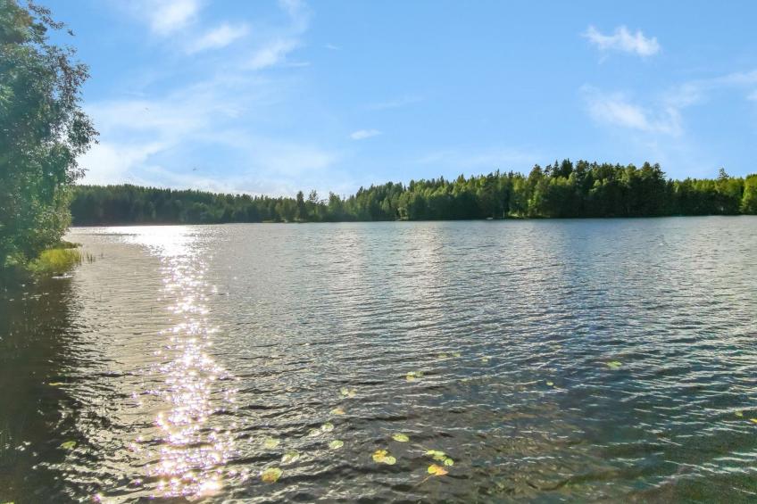 Heituinlahti, mäntyniemi - foto 24