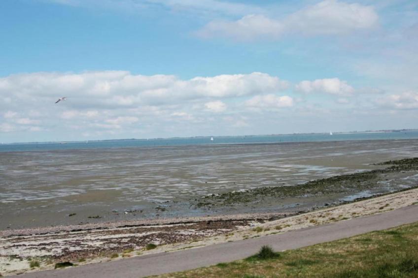 Rust & Ruimte Oosterschelde - foto 33