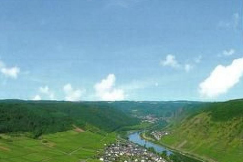 Moselwinzerhaus - foto 18