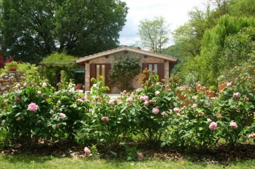 Villa mit privatem Pool 70 Kilometer von Rom entfernt