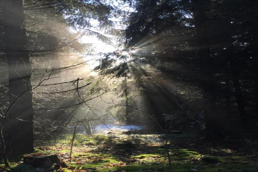 Holzhaus Andi - foto 19