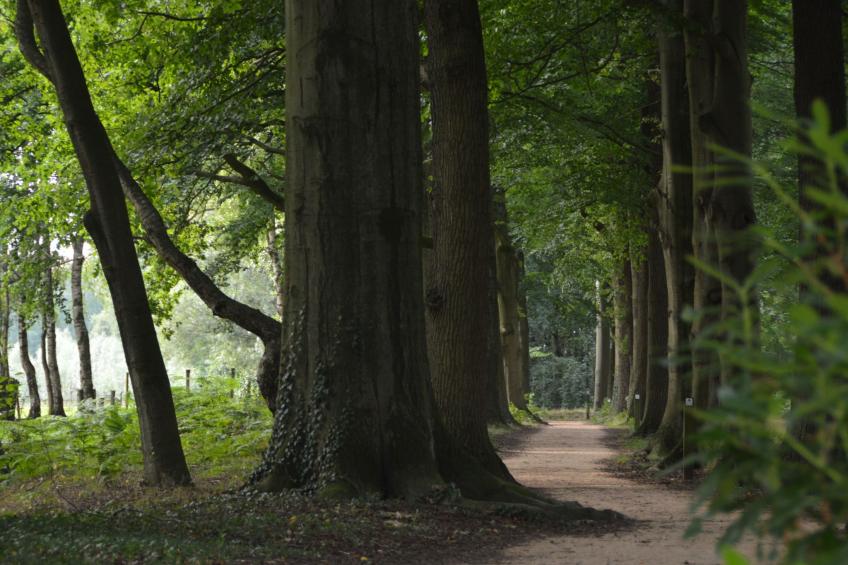 Gemütliches Haus mit eingezäuntem Garten - foto 26