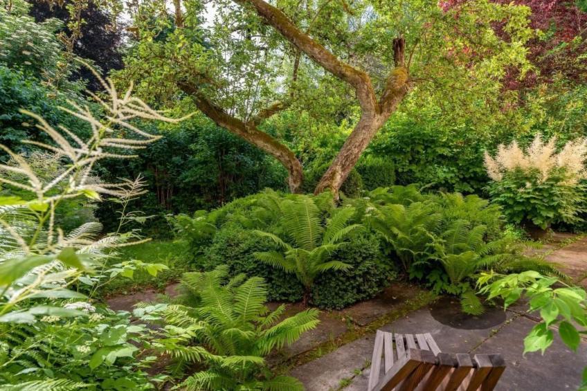 Design Ferienwohnung in historischer Villa - foto 25