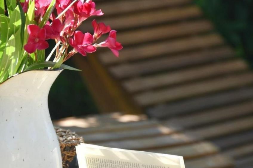 Steinhaus in Strandnähe mit Whirlpool - foto 33