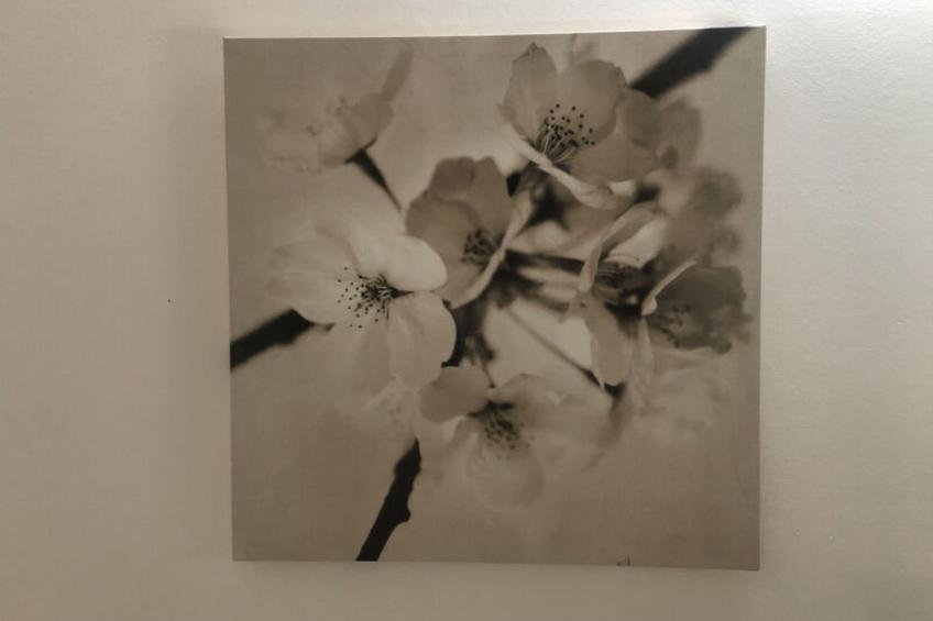 Casa Alessia - foto 24