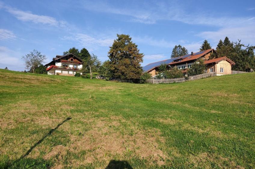 37251 - foto 2