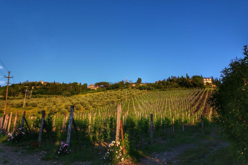 Limone - foto 31