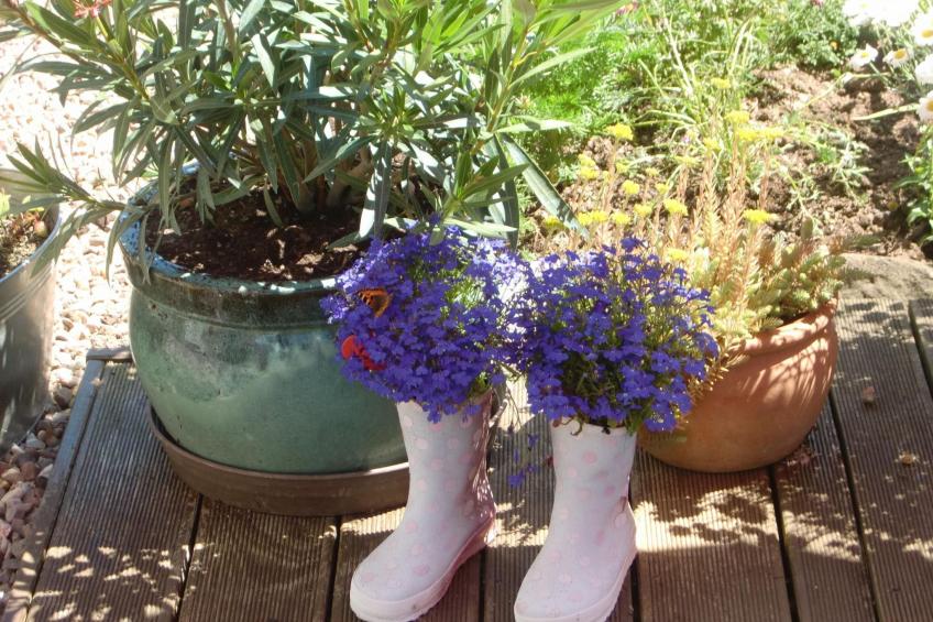 Little Stonehouse - foto 14