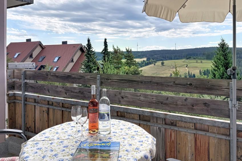 Schwarzwaldblick - foto 5