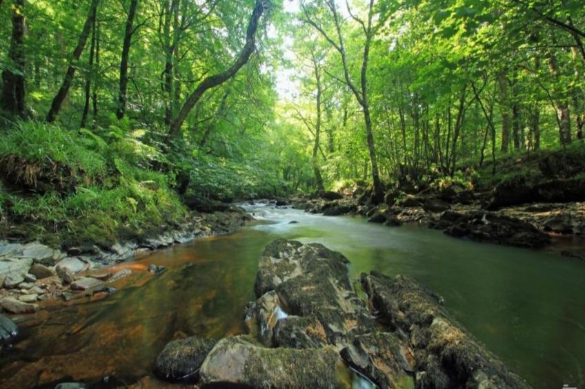 Little Dunley - The Tiny House - foto 16