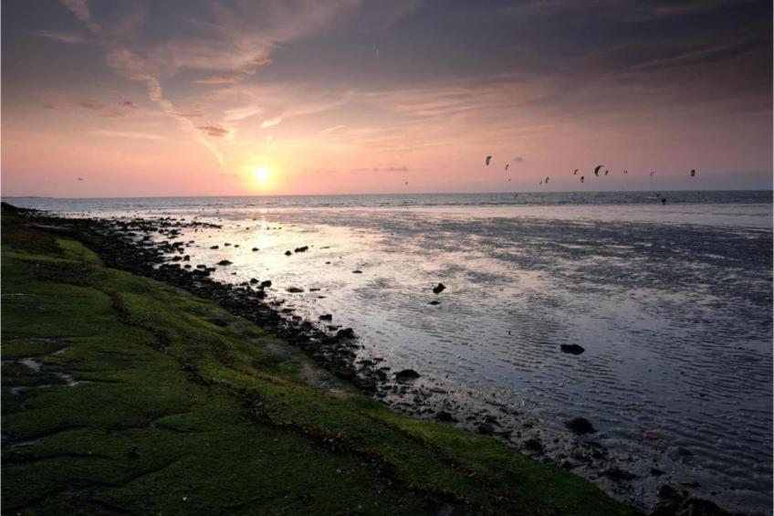 B&B de Gouwe Tijd - foto 26