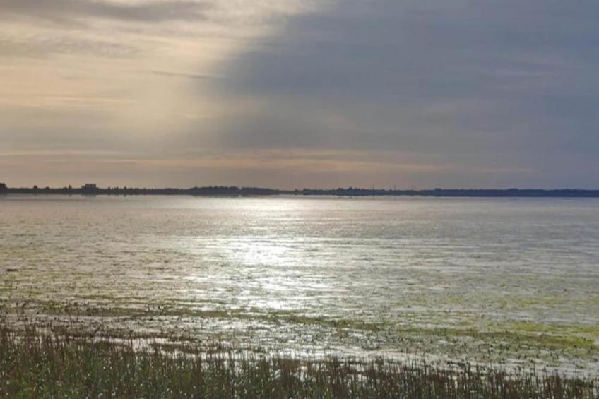 Recreatiepark Wiringherlant - foto 25