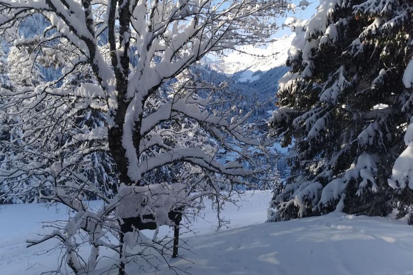 Chalet Carmazin, (Morgins), - foto 9