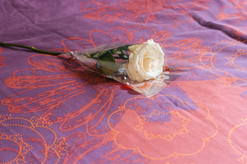 Le Moulin de Rose - foto 14