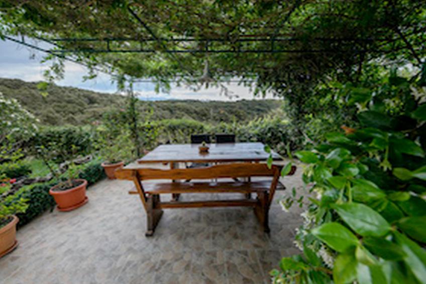 Apartments & Rooms Green Bay - Two Bedroom Apartment with Balcony and Sea View (APP 6) - foto 27