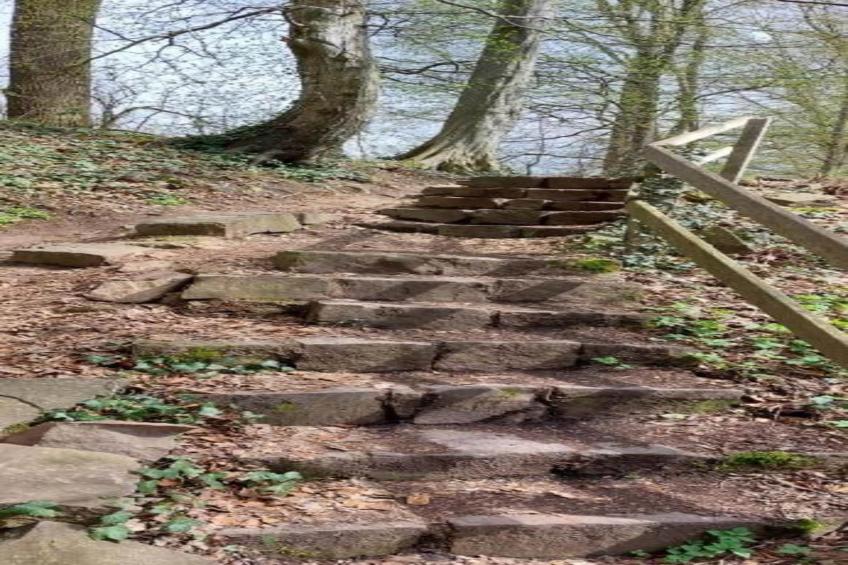 Am Ferienhof - foto 23