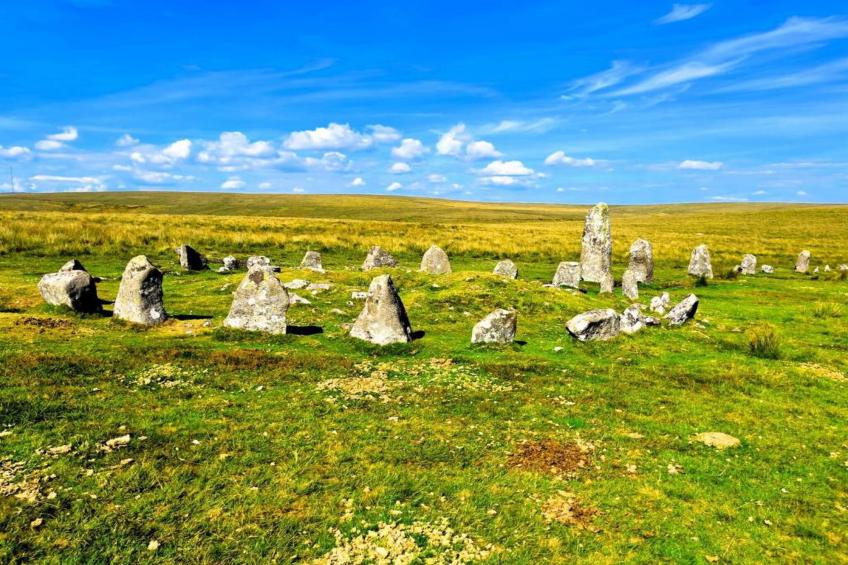 Little Dunley - Hazel - foto 9