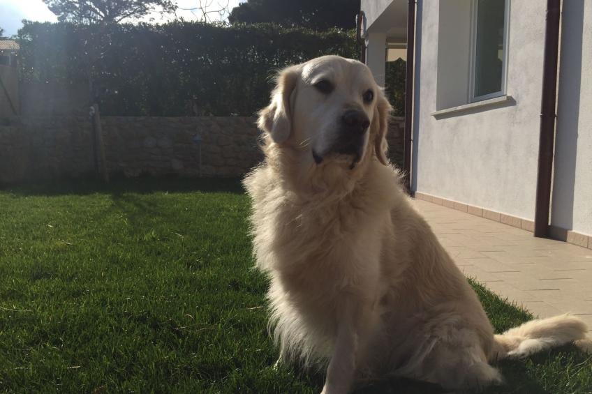 Ein Ferienhaus voller Komfort - foto 38