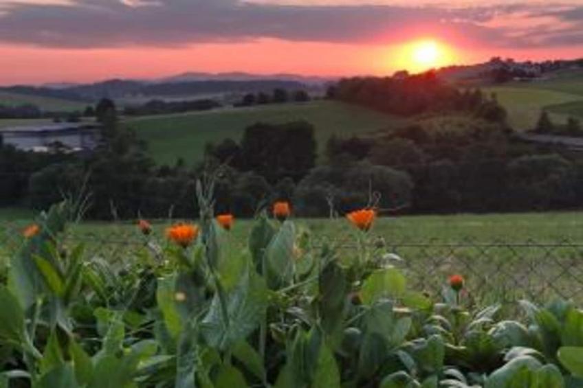 Vakantiepark Jägerwiesen - foto 32