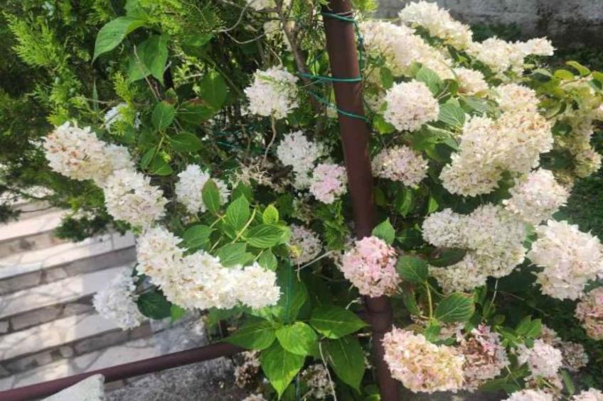 Deluxe City Escape with Modern Comforts & Garage - Double Room - foto 14