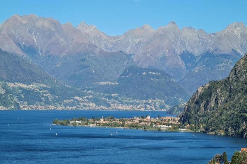 Bilo Walter 1 piano - foto 40