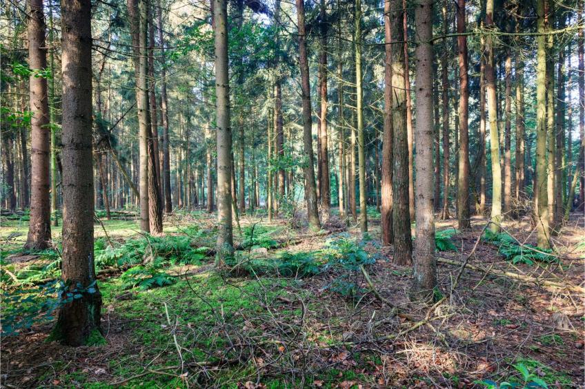 Module Special 6 persons Hottub - foto 14