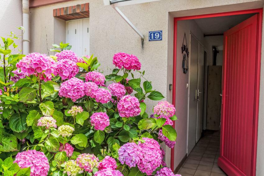 Le Moussaillon - foto 15