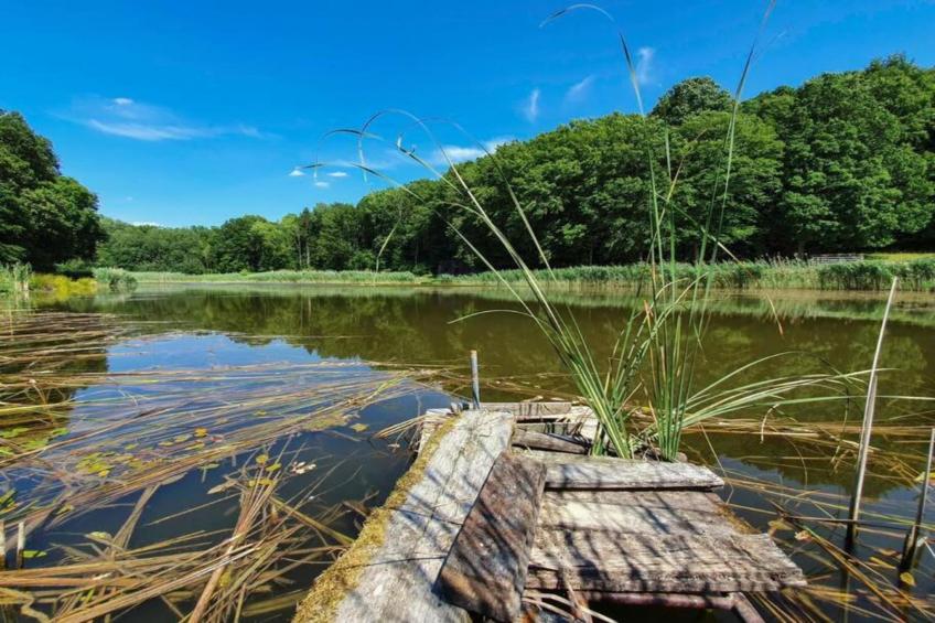 Maison de vacances - NETTANCOURT - foto 34