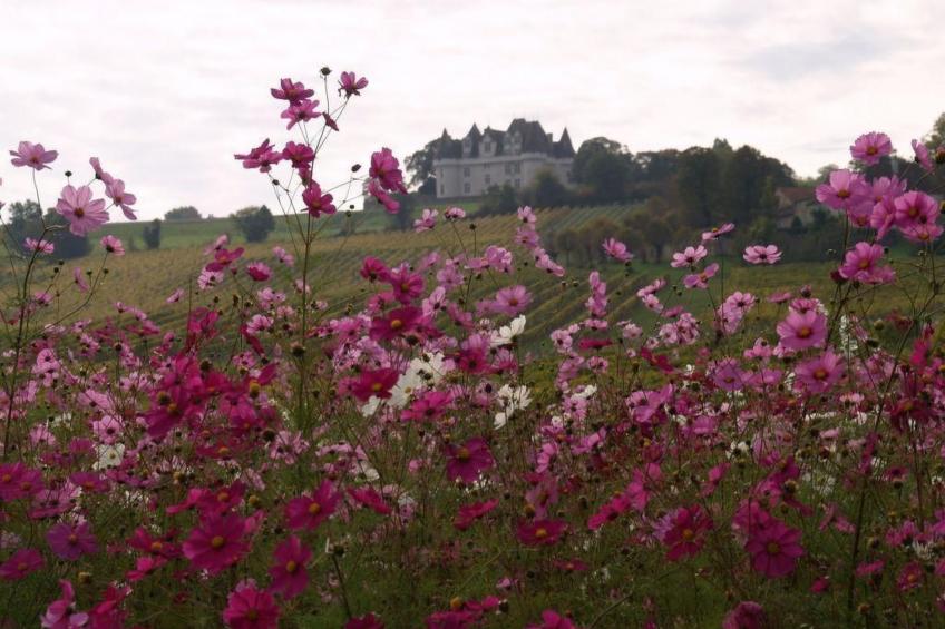 Villa DUXCAAR Beaum. - foto 43