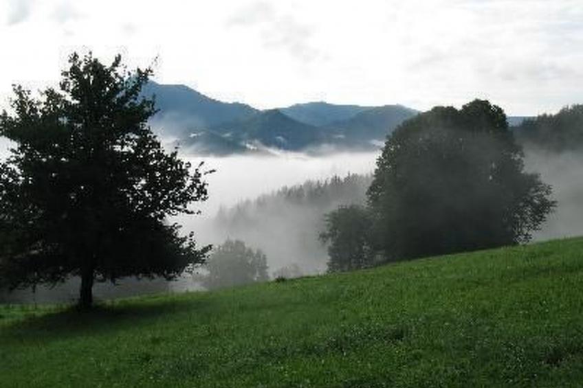 Haus König FEWO - foto 8