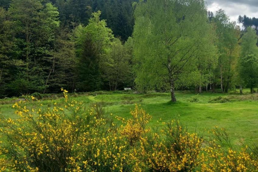 Chalet - TURQUESTEIN - foto 33