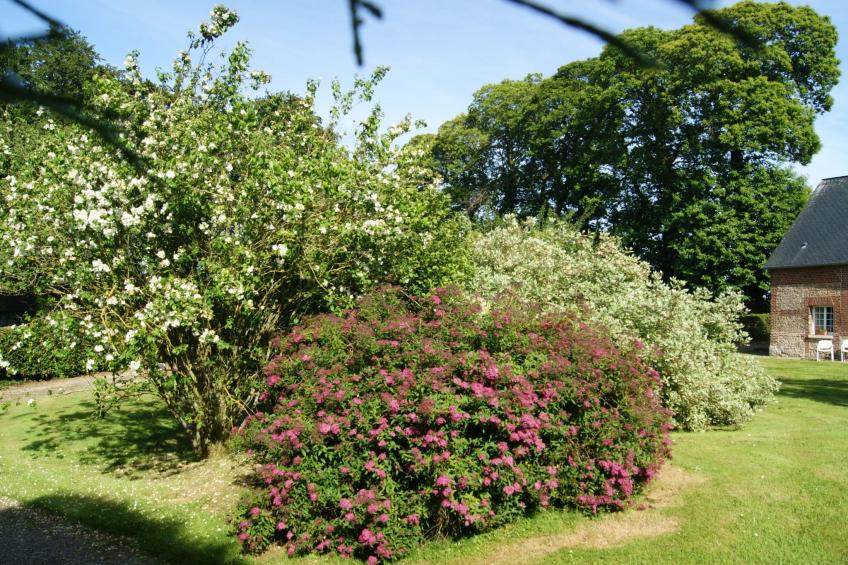 Charmante normannische Ferienwohnung les chataigniers 3 Zimmer - foto 28