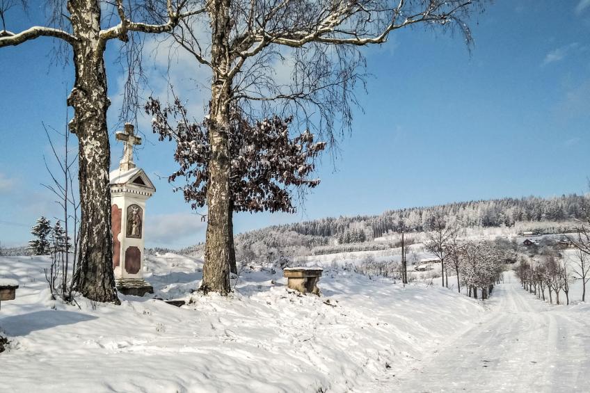 Haus Kaprasova (ULJ100) - foto 75