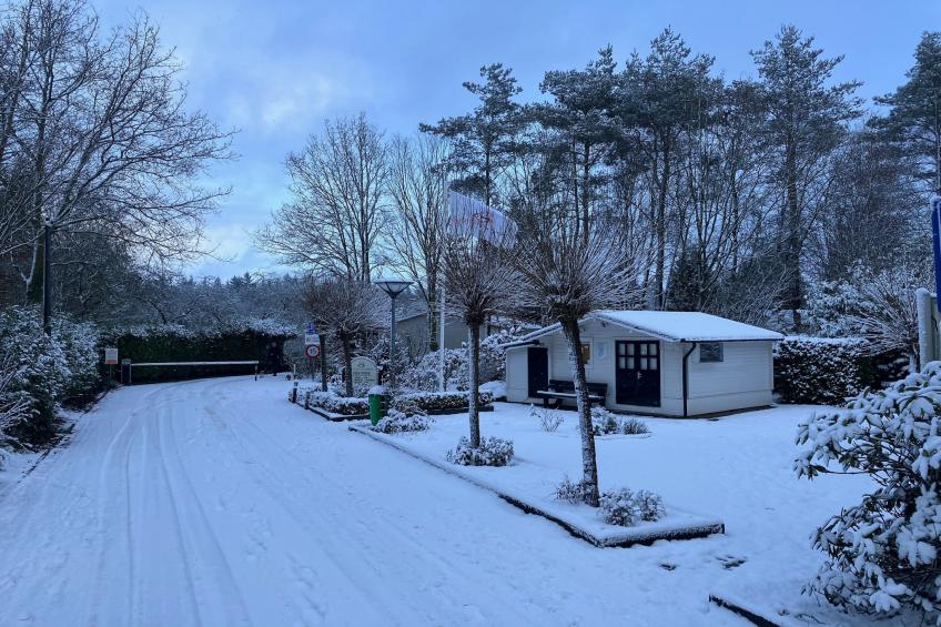 Knus chalet In een rustige omgeving met vijver - foto 20