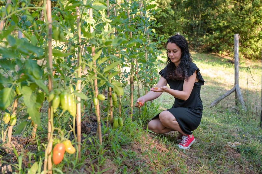 Ein-Zimmer-Wohnung in einem Bauernhaus - foto 14