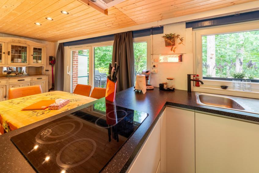 Ecarlate 27 - foto 15