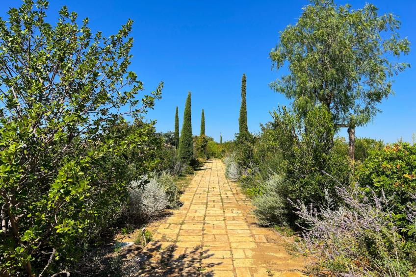 Maniero in Maremma - foto 46