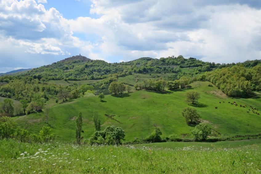 Charmantes Ferienhaus in Ciciano mit Grill, Garten und gemeinsamem Pool und Pan - foto 79