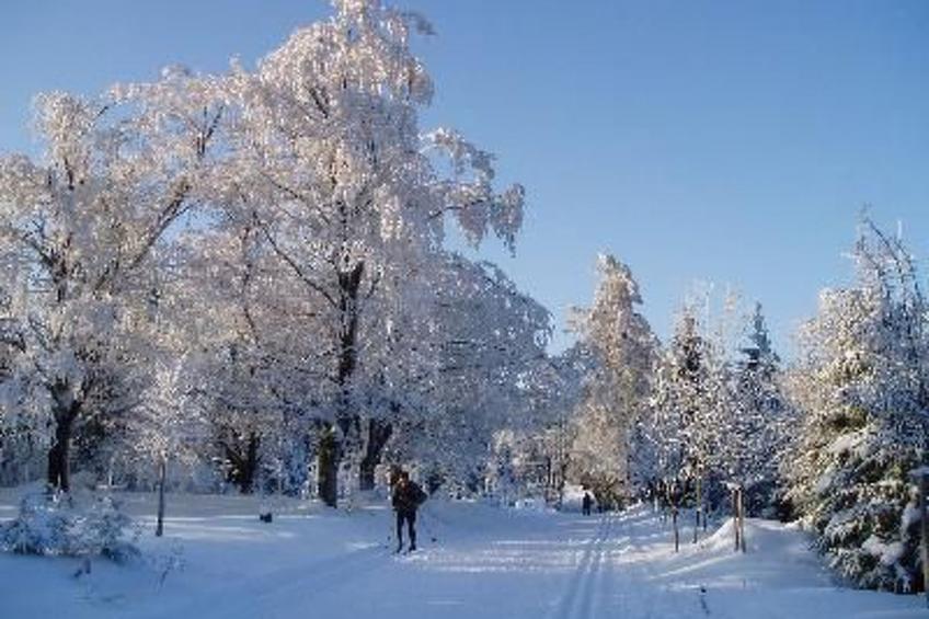 mit Terrasse - foto 4