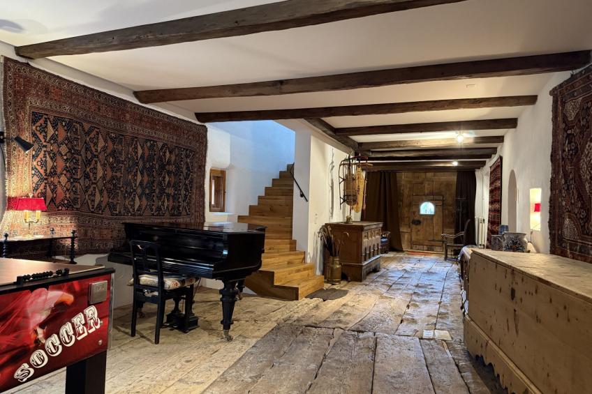 Chesa Delfins - foto 13