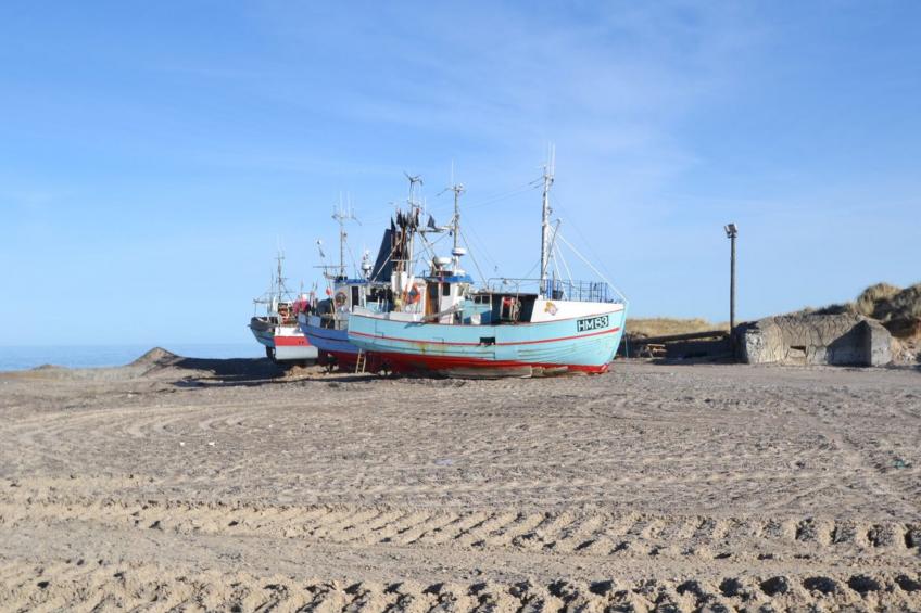 "Sighbiorn" - 950m from the sea in NW Jutland - foto 3