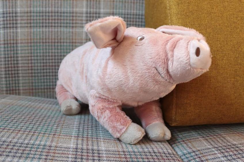 in St. Johann - foto 12