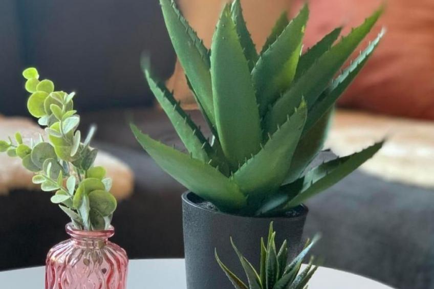 Chalet Bärgblüemli - foto 13