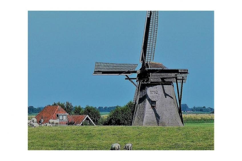 257915 - foto 24