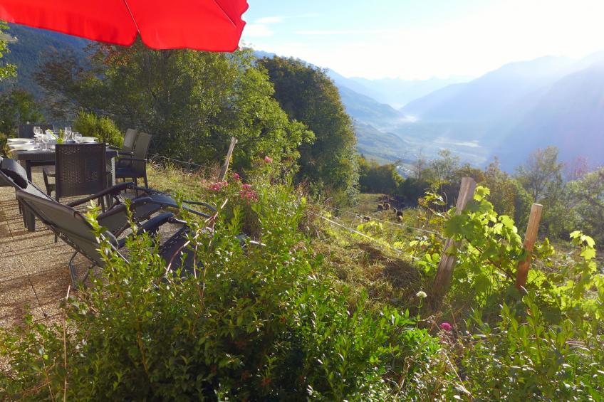 Le Fontany - foto 34