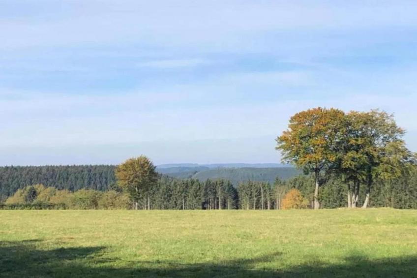 Dreamer 49 - foto 33